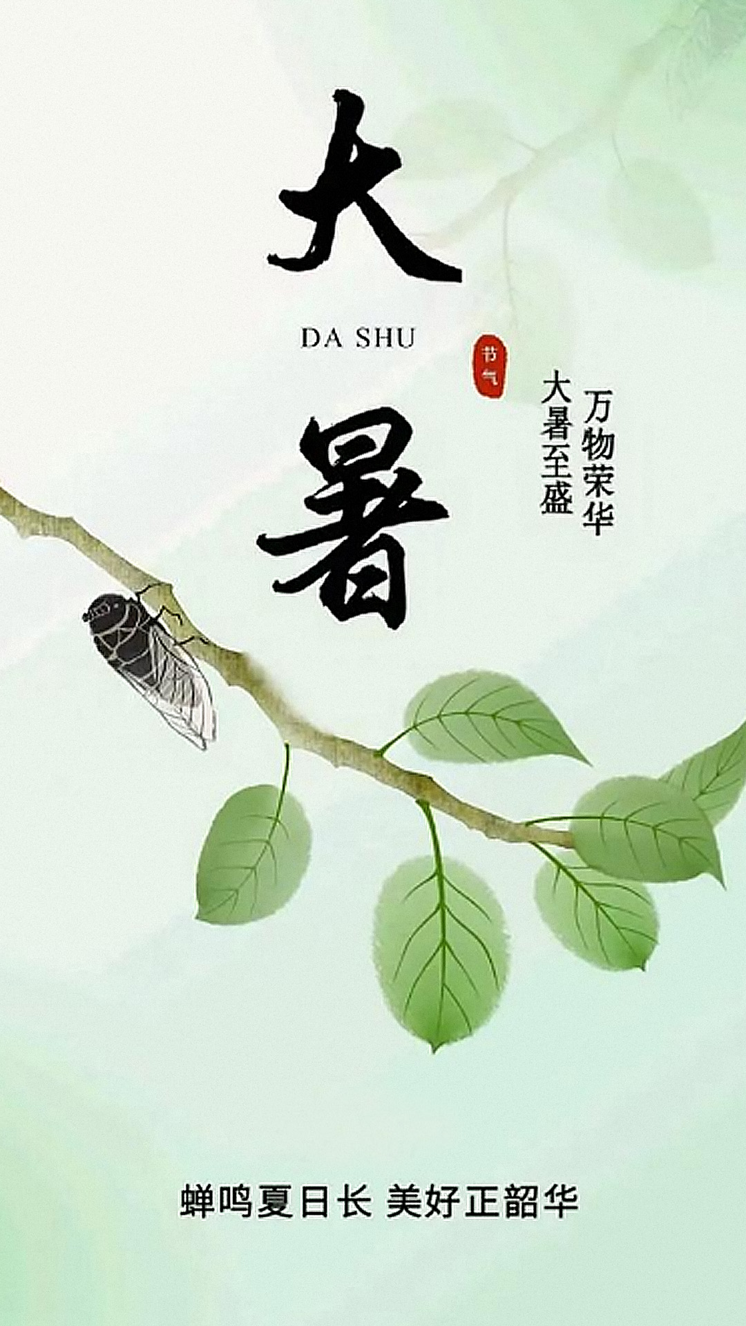 大暑封面.jpg