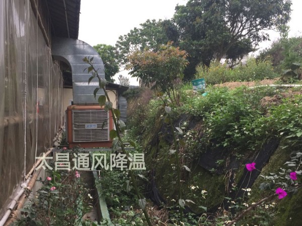 天氣太熱?環(huán)?？照{(diào)為你的餐廳守護(hù)清涼
